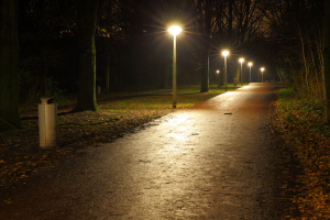 Rembrandtpark Amsterdam Nacht amsterdambynight